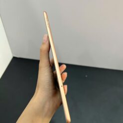 ipad mini 5 64gb 4g gold 2