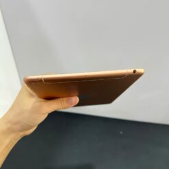 ipad mini 5 64gb 4g gold 6